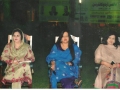 عالمی اردو کانفرنس ۔۔ 25 مارچ 2014