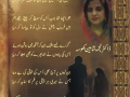 میری تنہائی کو اس نے اور تنہا کر دیا