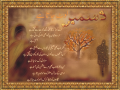 december-laot-jaata-hay